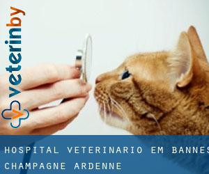 Hospital veterinário em Bannes (Champagne-Ardenne)