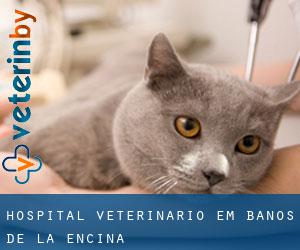 Hospital veterinário em Baños de la Encina