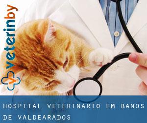 Hospital veterinário em Baños de Valdearados