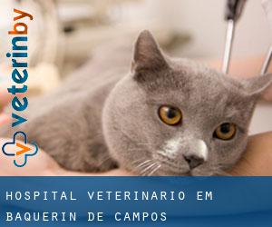 Hospital veterinário em Baquerín de Campos