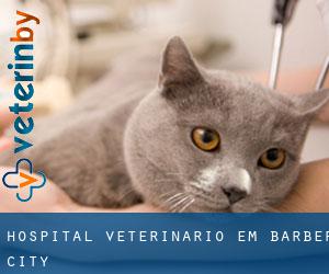 Hospital veterinário em Barber City