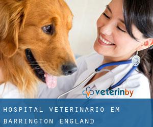 Hospital veterinário em Barrington (England)