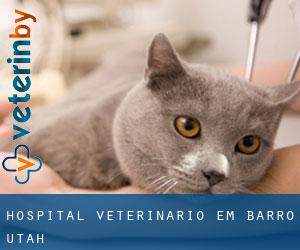 Hospital veterinário em Barro (Utah)
