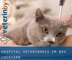 Hospital veterinário em Bas-Locoyarn