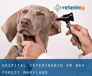 Hospital veterinário em Bay Forest (Maryland)