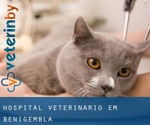 Hospital veterinário em Benigembla