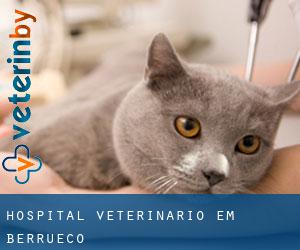 Hospital veterinário em Berrueco