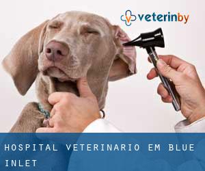 Hospital veterinário em Blue Inlet