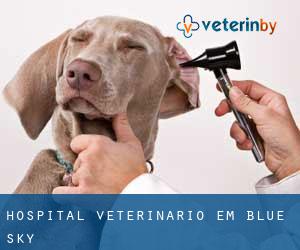 Hospital veterinário em Blue Sky