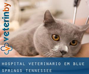 Hospital veterinário em Blue Springs (Tennessee)