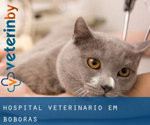 Hospital veterinário em Boborás