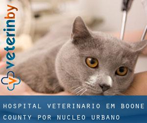 Hospital veterinário em Boone County por núcleo urbano - página 1