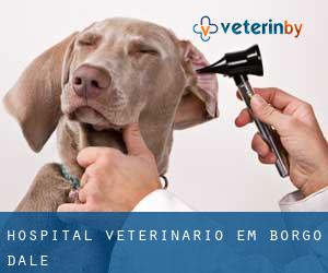 Hospital veterinário em Borgo d'Ale