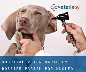 Hospital veterinário em Bossier Parish por núcleo urbano - página 1