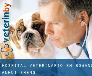Hospital veterinário em Bowang (Anhui Sheng)