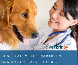 Hospital veterinário em Bradfield Saint George