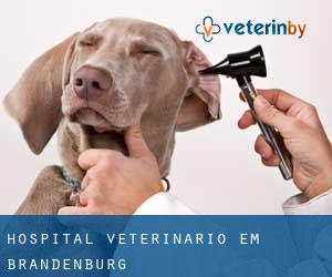 Hospital veterinário em Brandenburg