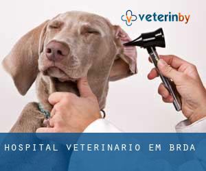 Hospital veterinário em Brda