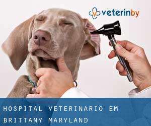 Hospital veterinário em Brittany (Maryland)