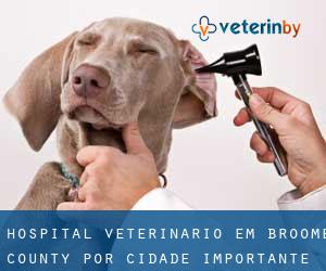Hospital veterinário em Broome County por cidade importante - página 1