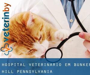 Hospital veterinário em Bunker Hill (Pennsylvania)