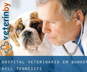 Hospital veterinário em Bunker Hill (Tennessee)