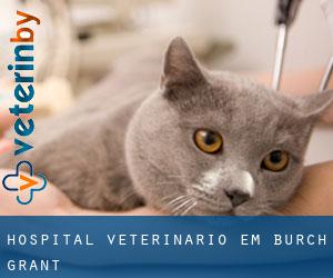 Hospital veterinário em Burch Grant