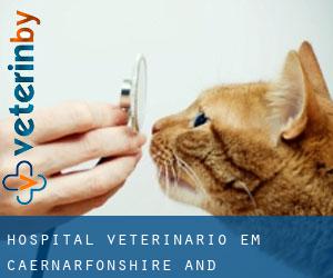 Hospital veterinário em Caernarfonshire and Merionethshire