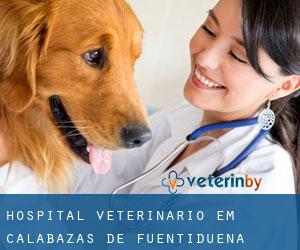Hospital veterinário em Calabazas de Fuentidueña