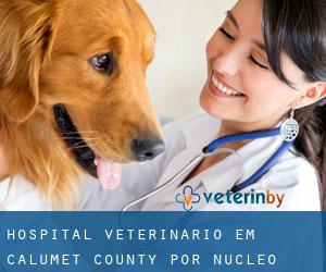 Hospital veterinário em Calumet County por núcleo urbano - página 1