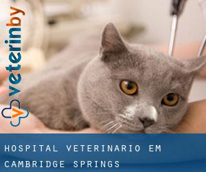 Hospital veterinário em Cambridge Springs
