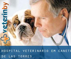 Hospital veterinário em Cañete de las Torres