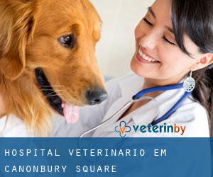 Hospital veterinário em Canonbury Square