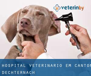 Hospital veterinário em Canton d'Echternach