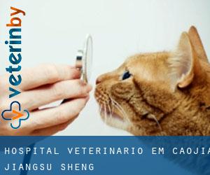 Hospital veterinário em Caojia (Jiangsu Sheng)