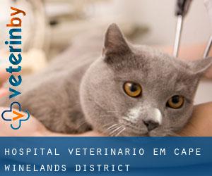 Hospital veterinário em Cape Winelands District Municipality por cidade - página 1