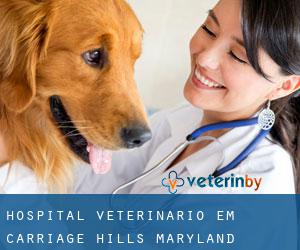 Hospital veterinário em Carriage Hills (Maryland)