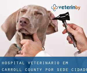 Hospital veterinário em Carroll County por sede cidade - página 2