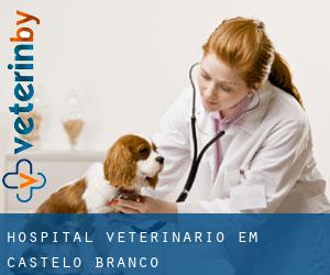 Hospital veterinário em Castelo Branco