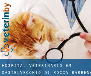 Hospital veterinário em Castelvecchio di Rocca Barbena