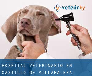 Hospital veterinário em Castillo de Villamalefa