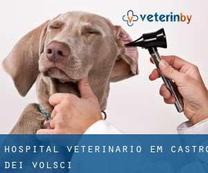 Hospital veterinário em Castro dei Volsci