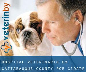 Hospital veterinário em Cattaraugus County por cidade - página 1