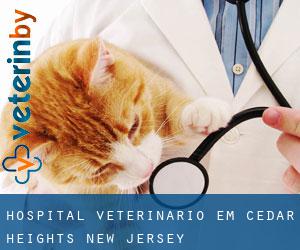 Hospital veterinário em Cedar Heights (New Jersey)