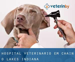 Hospital veterinário em Chain-O-Lakes (Indiana)
