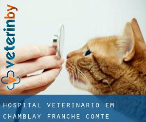 Hospital veterinário em Chamblay (Franche-Comté)