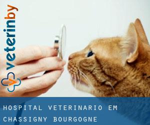 Hospital veterinário em Chassigny (Bourgogne)