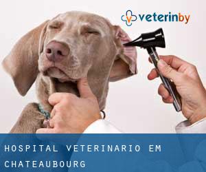 Hospital veterinário em Châteaubourg