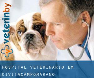 Hospital veterinário em Civitacampomarano