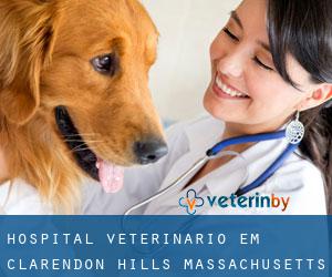 Hospital veterinário em Clarendon Hills (Massachusetts)